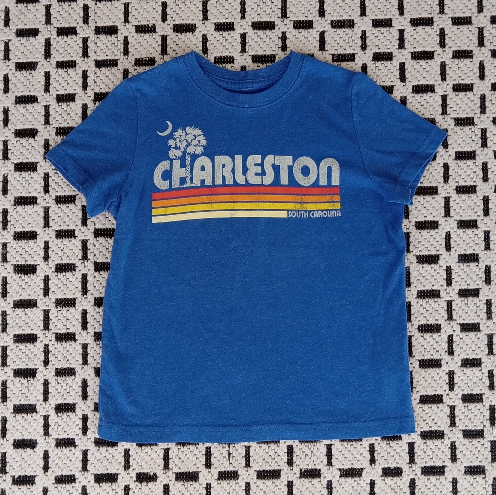 Kids Charleston, SC Palmetto State T-Shirt